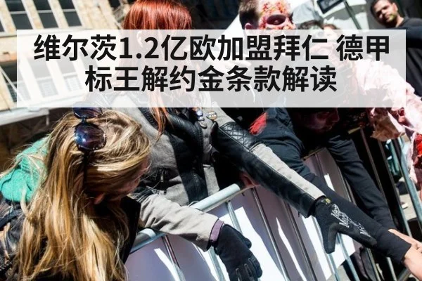维尔茨1.2亿欧加盟拜仁 德甲标王解约金条款解读