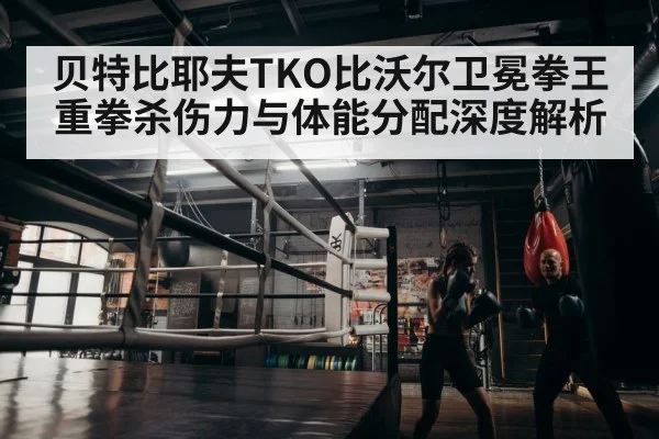 boxer endurance training